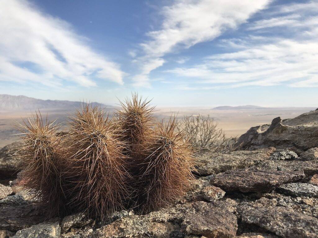 Parco Anza Borrego