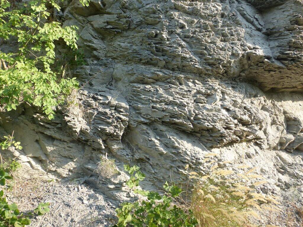 Scarpata di marna, stratificazione