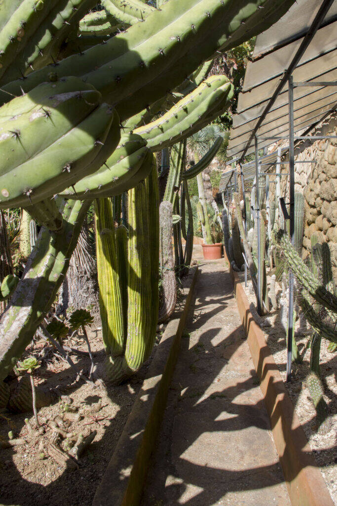 Giardino Esotico Pallanca 2022