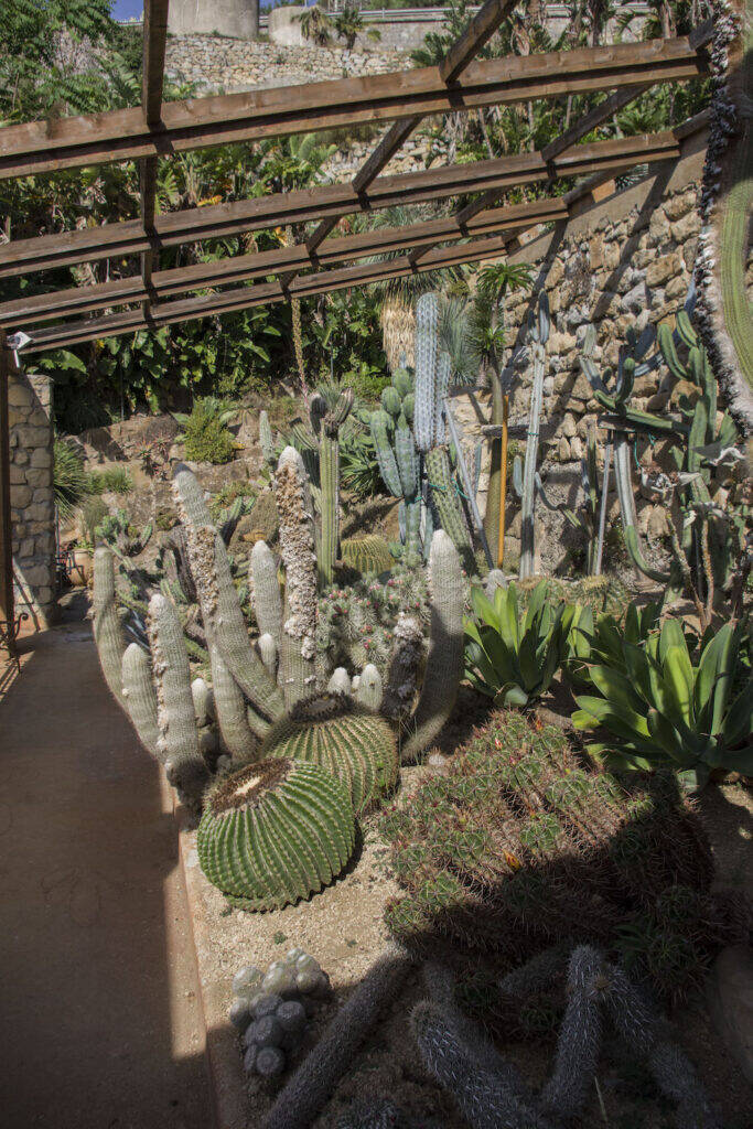 Giardino Esotico Pallanca 2022