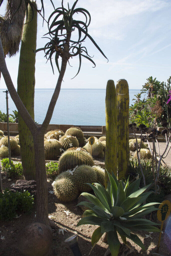 Giardino Esotico Pallanca 2022