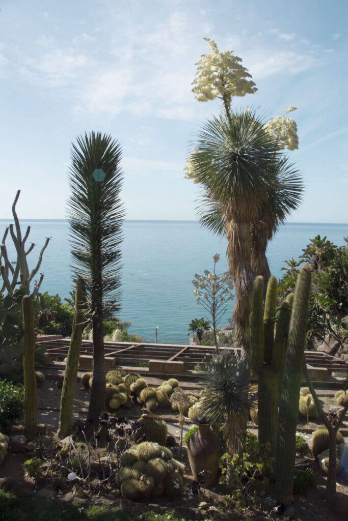 Giardino Esotico Pallanca 2022