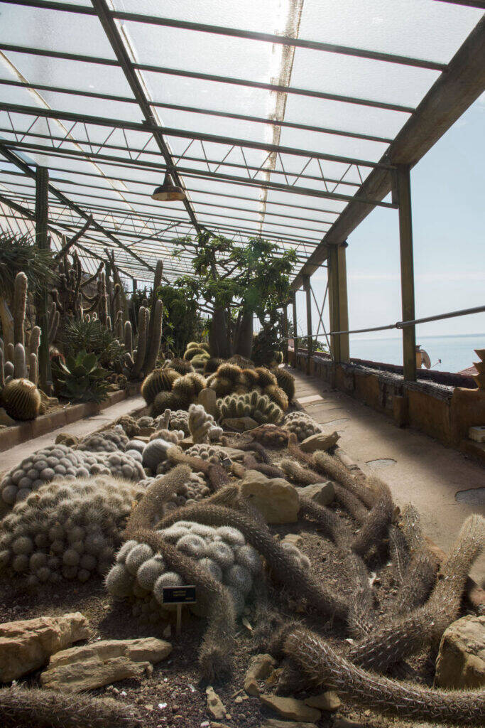 Giardino Esotico Pallanca 2022