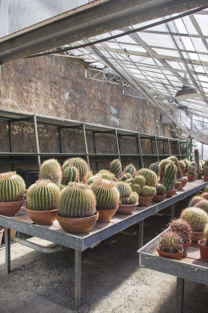 Giardino Esotico Pallanca 2022