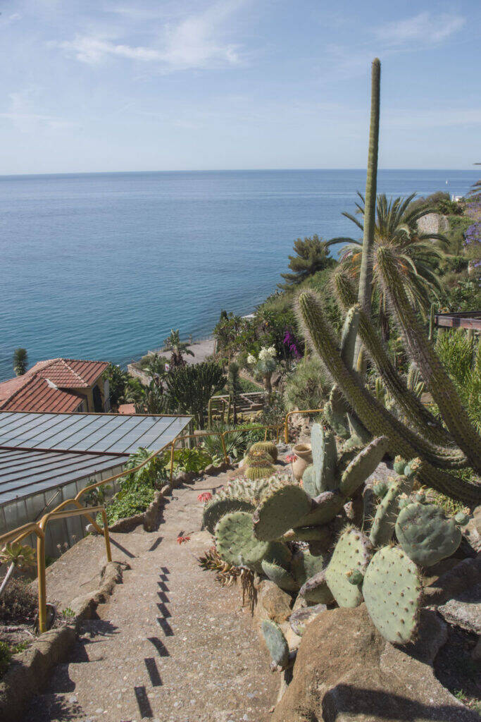 Giardino Esotico Pallanca 2022