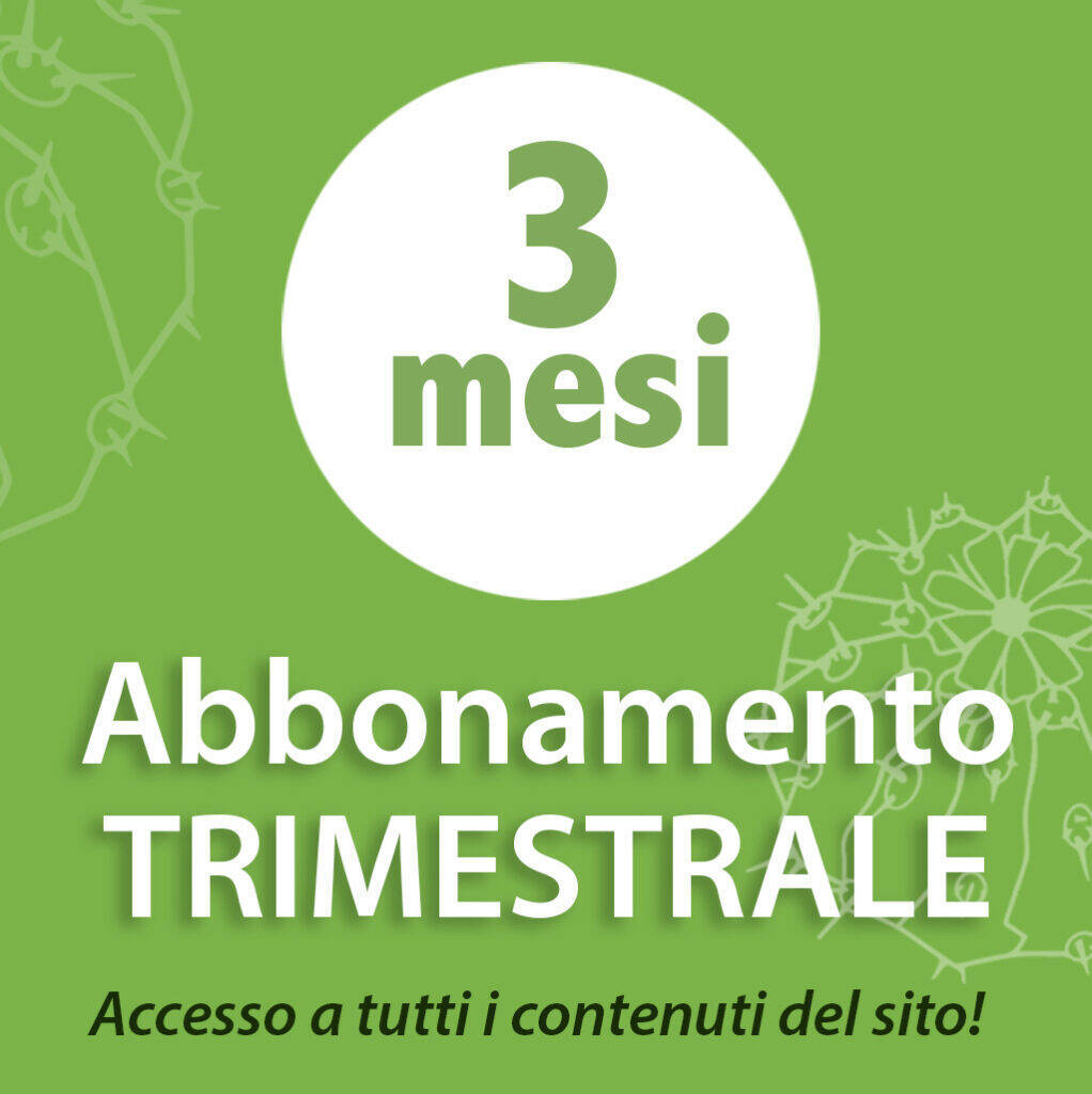 Abbonamento trimestrale italiano