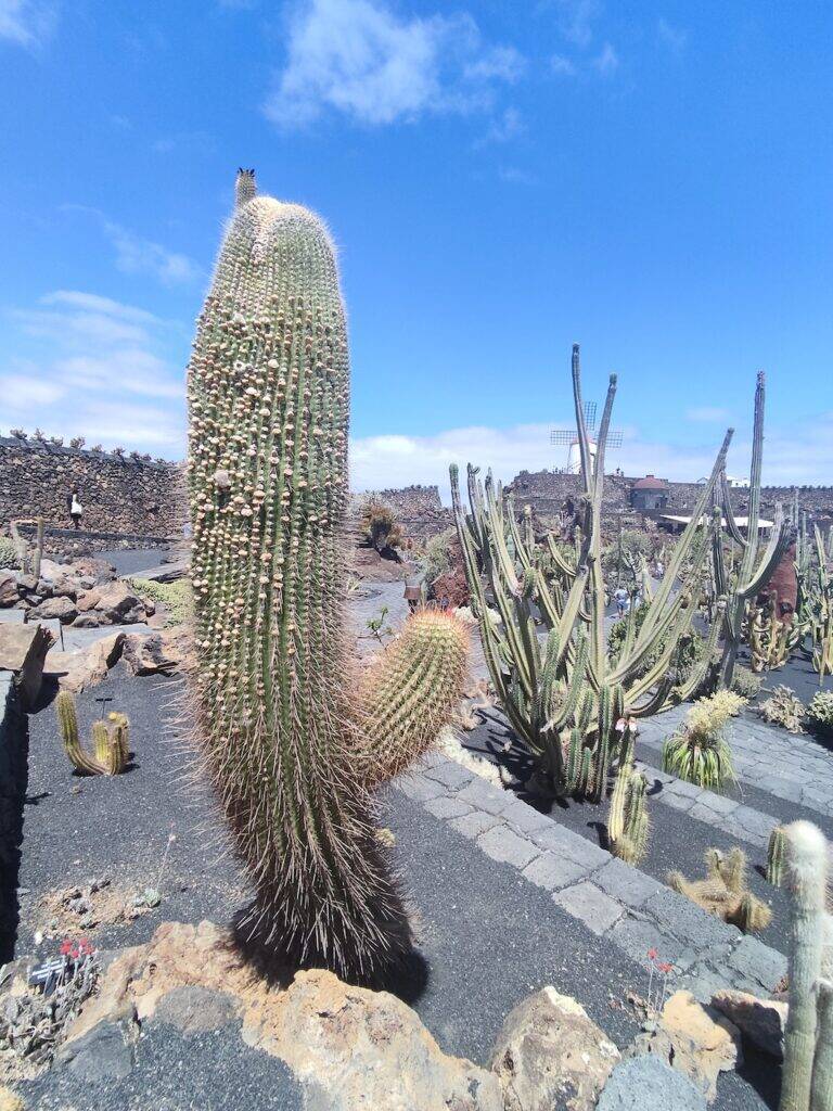 Giardino Lanzarote