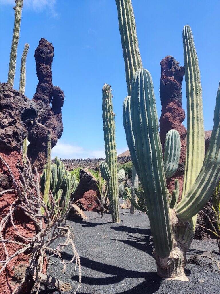 Giardino Lanzarote