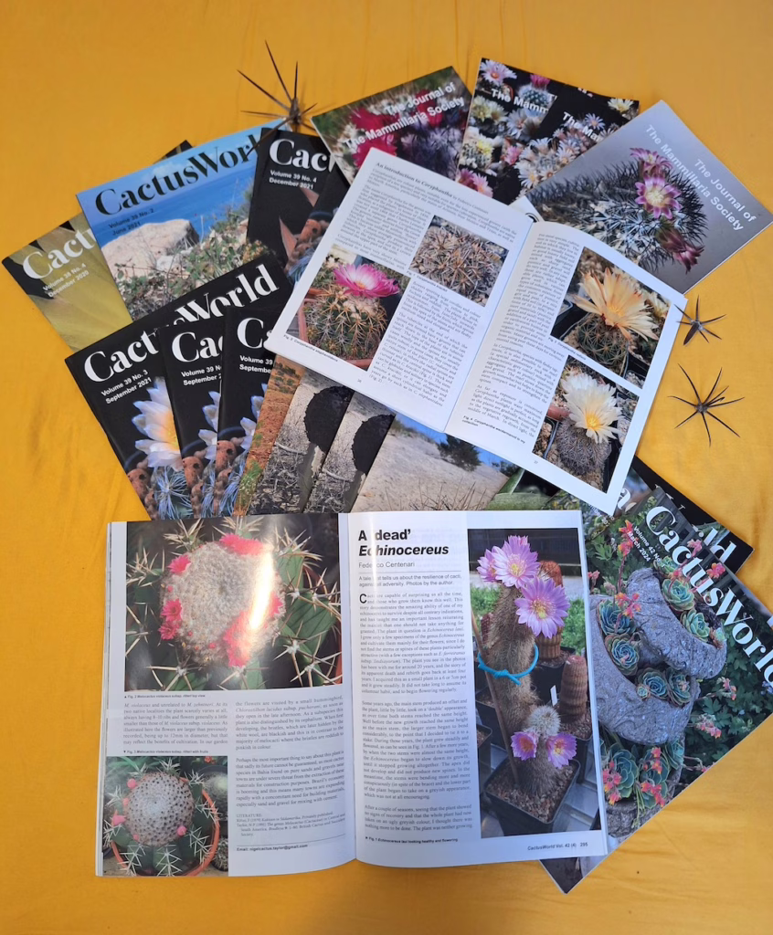 I miei articoli su Cactus World