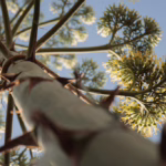 Lo stelo floreale in luglio